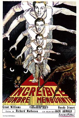 重生后嫁知青前夫傻眼了 封面图